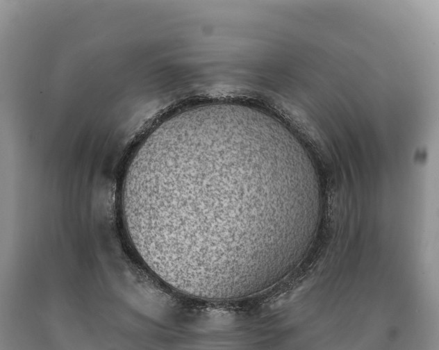 X0000090630592200707241154