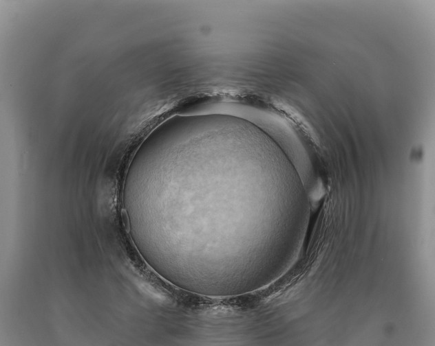 X0000090630593200707241154