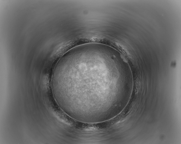 X0000090630594200707241154