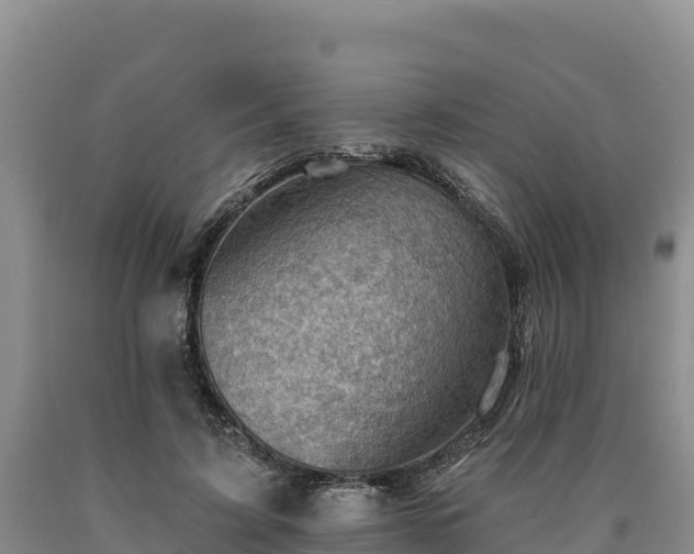 X0000090630595200707241154