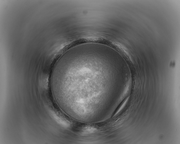 X0000090630596200707241154