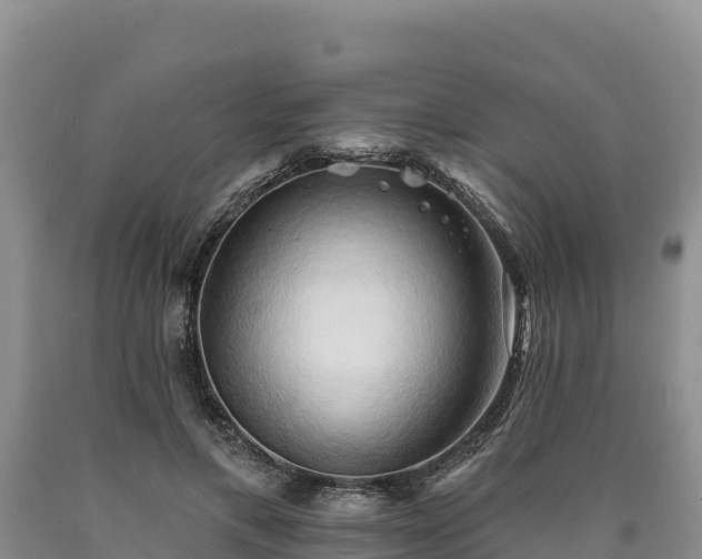 X0000090630597200707241154