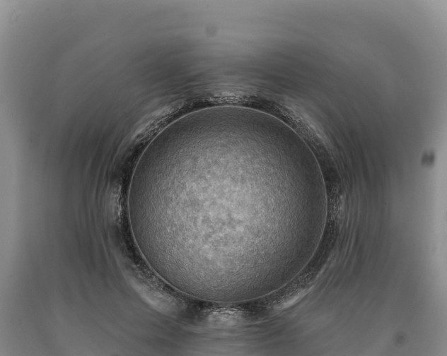 X0000090630599200707241154