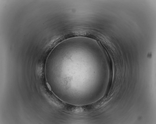 X0000090630600200707241154