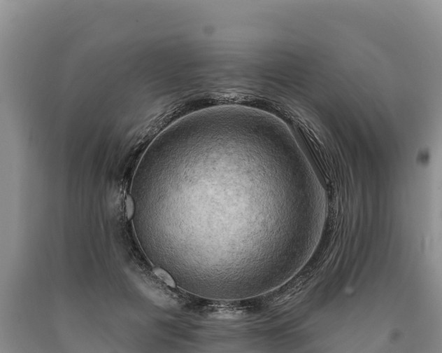X0000090630601200707241154