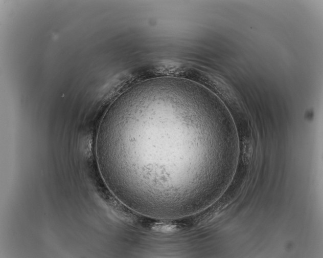 X0000090630602200707241154