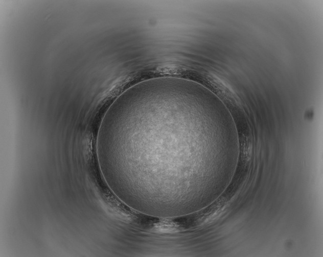 X0000090630603200707241154
