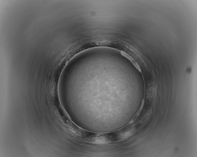 X0000090630604200707241154