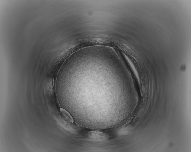 X0000090630605200707241154