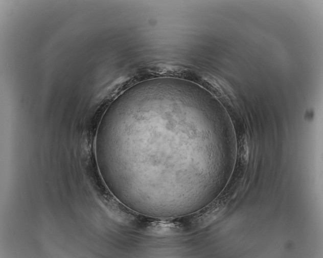 X0000090630607200707241154