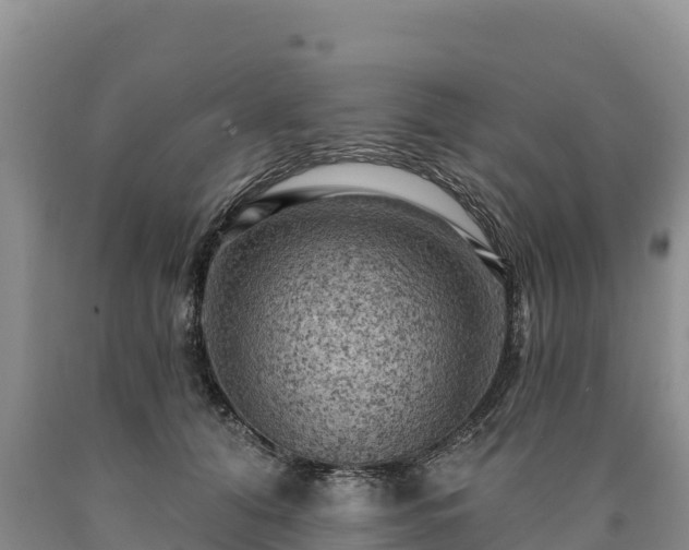 X0000090630608200707241154