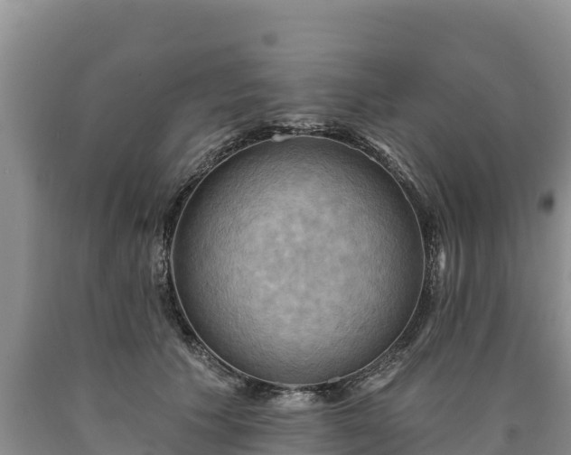 X0000090630609200707241154