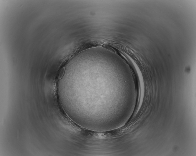 X0000090630613200707241154