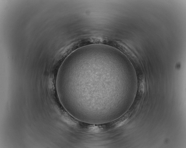X0000090630616200707241154