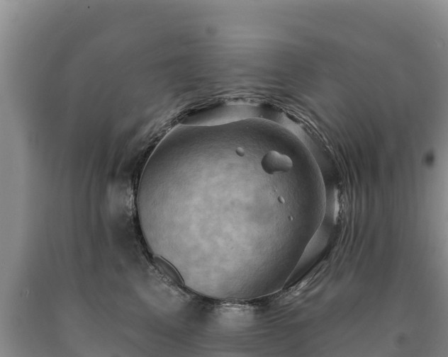 X0000090630617200707241154