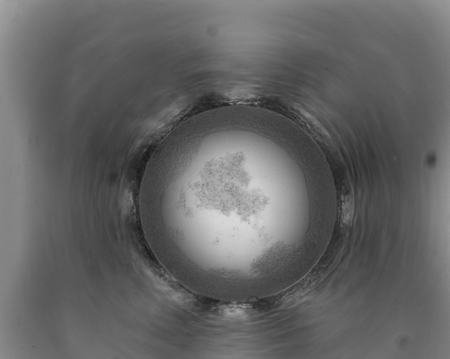 X0000090630618200707241154
