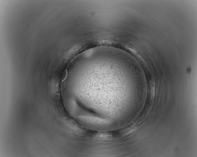 X0000090630619200707241154