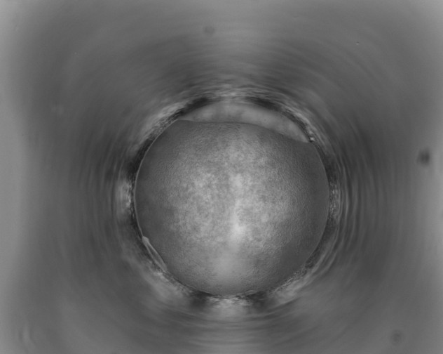 X0000090630621200707241154