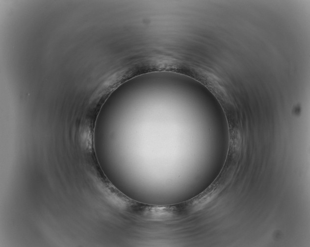 X0000090630622200707241154