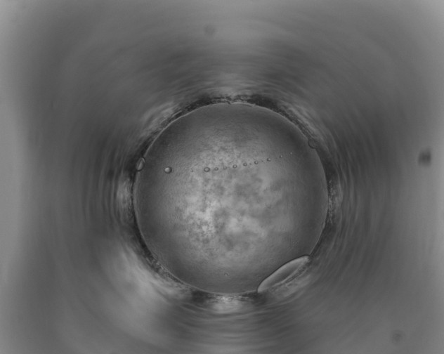 X0000090630623200707241154