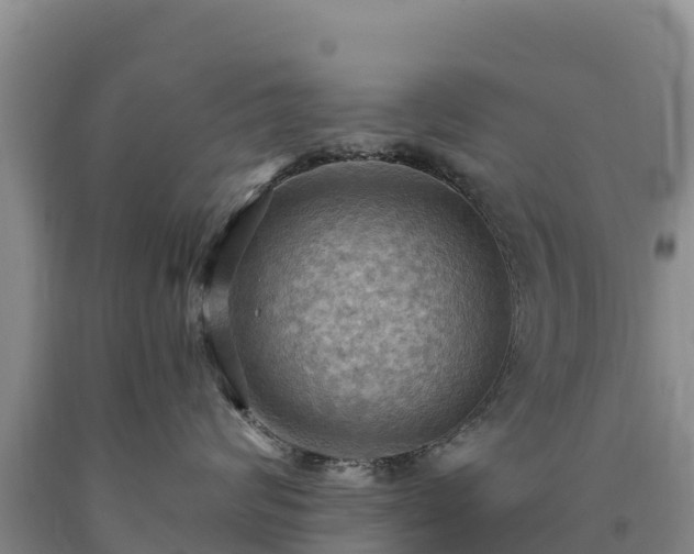 X0000090630624200707241154