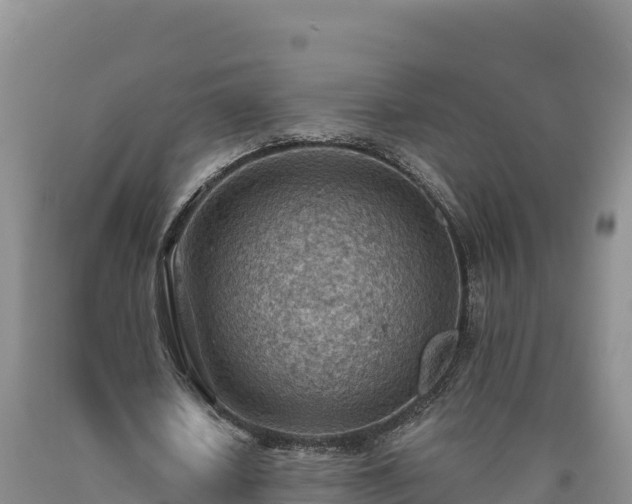 X0000090630626200707241153
