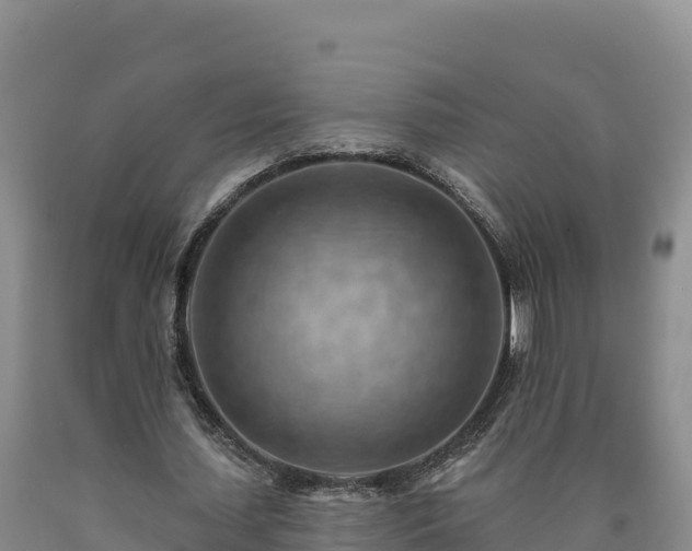 X0000090630627200707241153