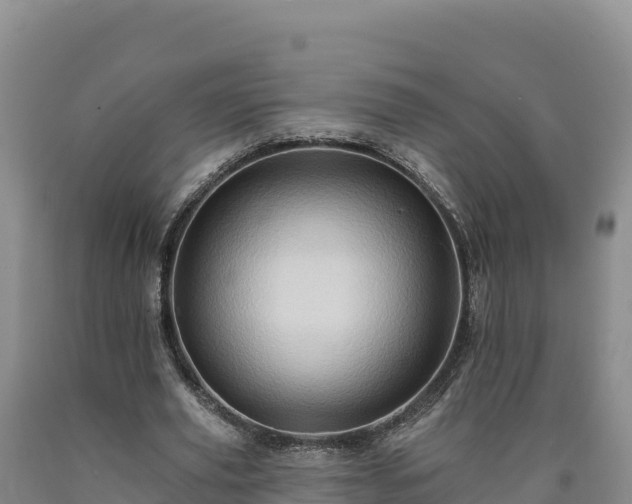 X0000090630629200707241153