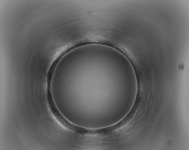X0000090630630200707241153