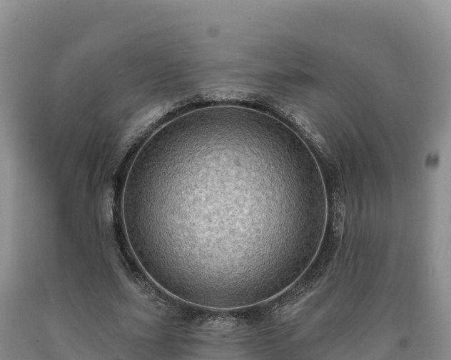 X0000090630631200707241153