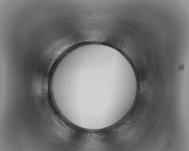 X0000090630632200707241153