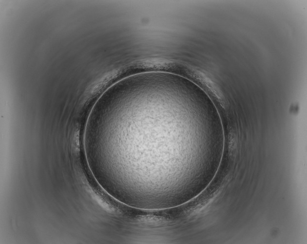 X0000090630633200707241153
