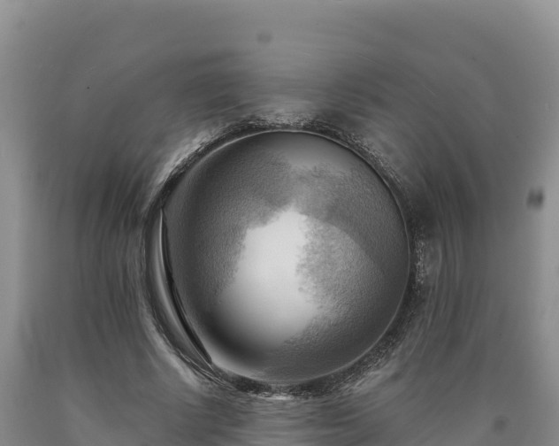 X0000090630634200707241153