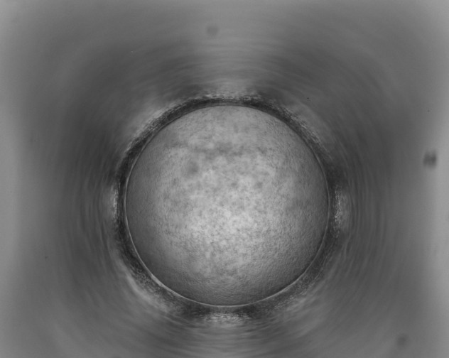 X0000090630636200707241153