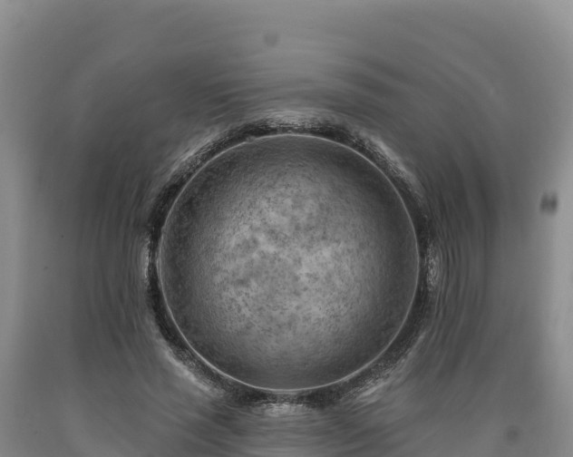 X0000090630637200707241153
