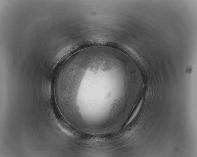 X0000090630638200707241153