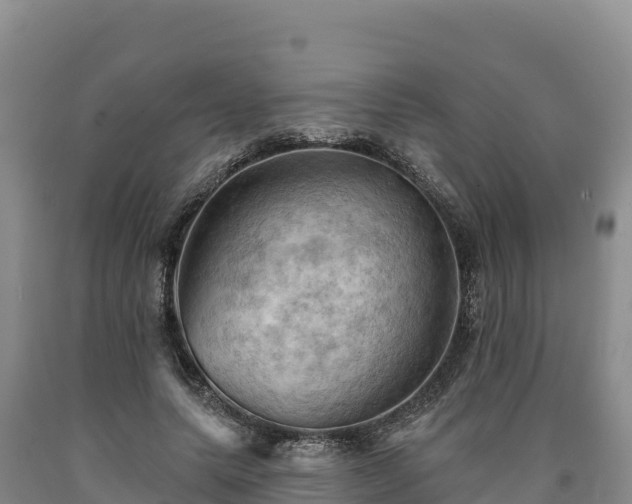 X0000090630639200707241153