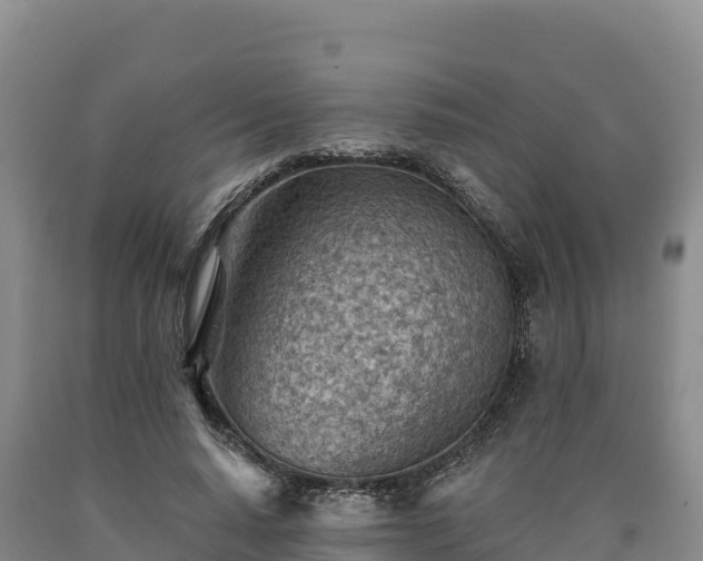 X0000090630640200707241153