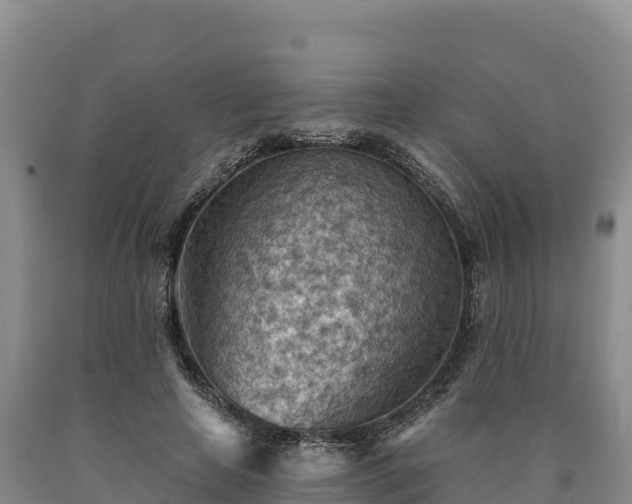 X0000090630641200707241153