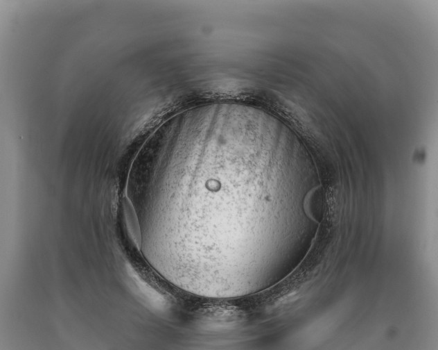 X0000090630642200707241153