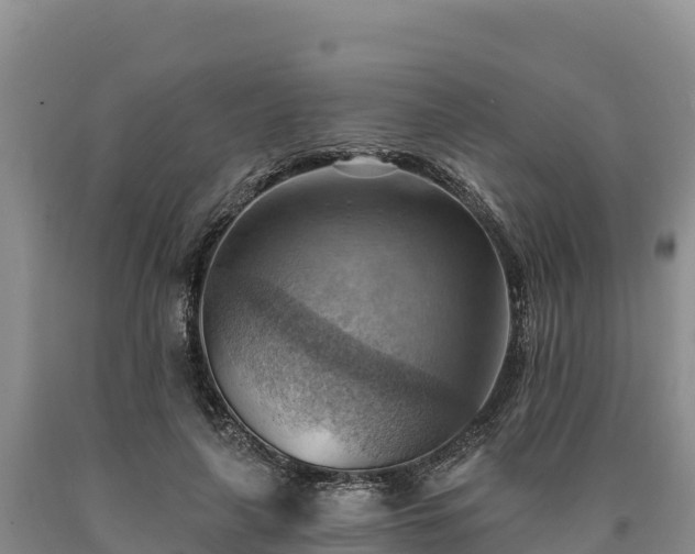 X0000090630643200707241153