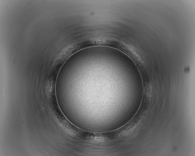 X0000090630645200707241153