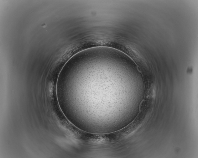 X0000090630646200707241153