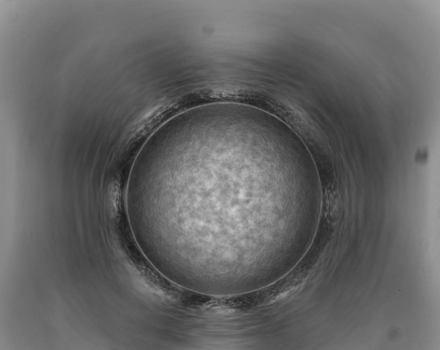 X0000090630648200707241153