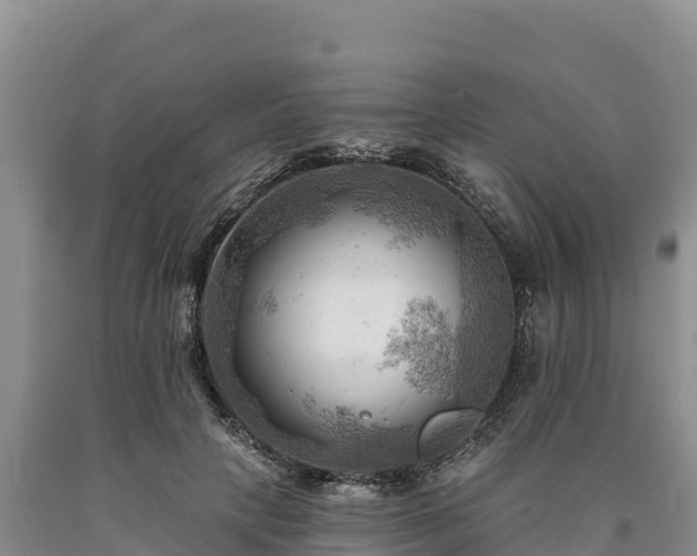 X0000090630649200707241153