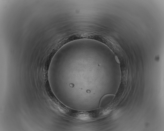 X0000090630653200707241153