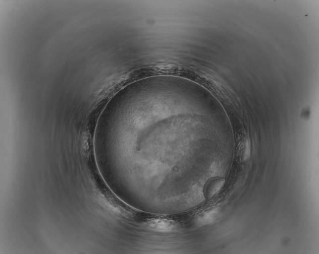 X0000090630654200707241153