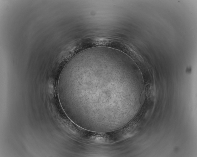 X0000090630655200707241153