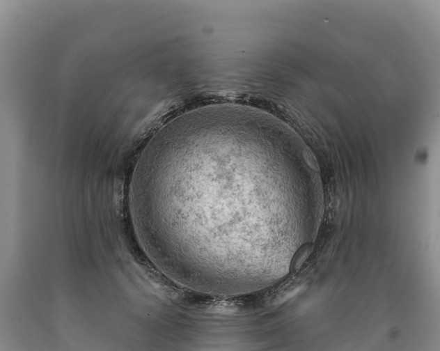 X0000090630656200707241153
