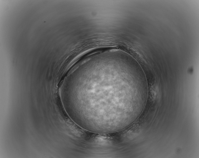 X0000090630657200707241153